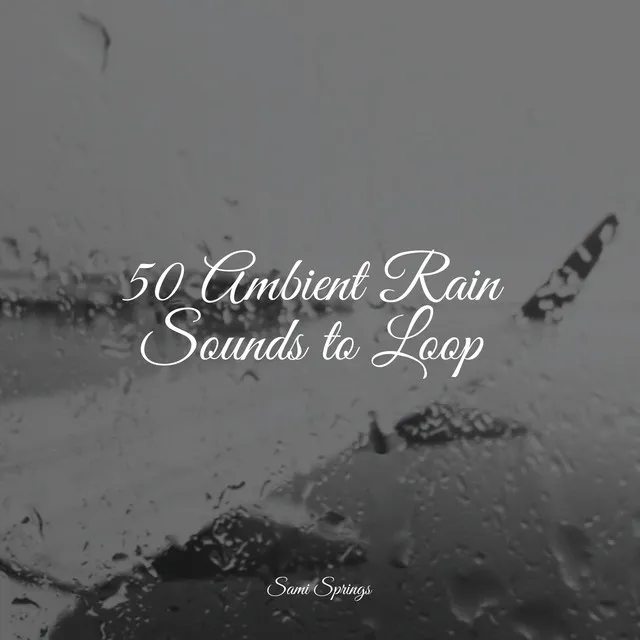 50 Ambient Rain Sounds to Loop