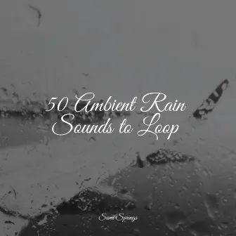 50 Ambient Rain Sounds to Loop by Yoga Rain