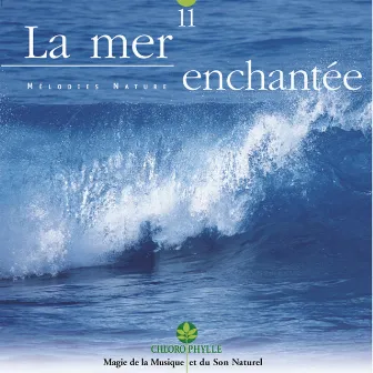 Chlorophylle 11 : La mer enchantée (Mélodies nature) by Relaxing Zen Nature