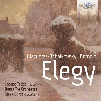 Elegy: Music by Glazunov, Tchaikovsky, Borodin by Roma Tre Orchestra