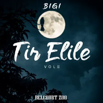 Tir Elile, Vol. 2 by Belcourt Zoo