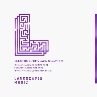 Infraspinatus by Elektroluchs