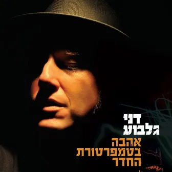 אהבה בטמפרטורת החדר by Danny Gilboa