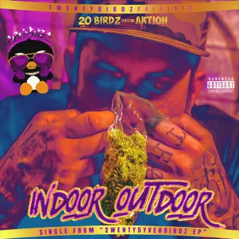 Indoor Outdoor by 20 Birdz