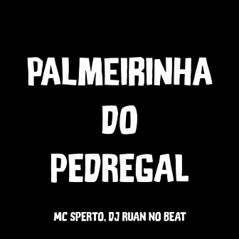 Palmeirinha do Pedregal by Mc Sperto