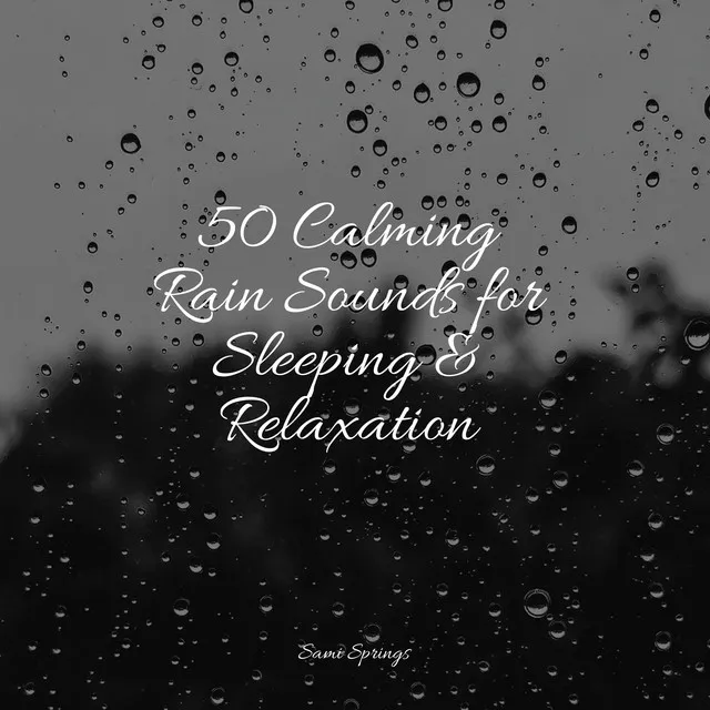 50 Calming Rain Sounds for Sleeping & Relaxation