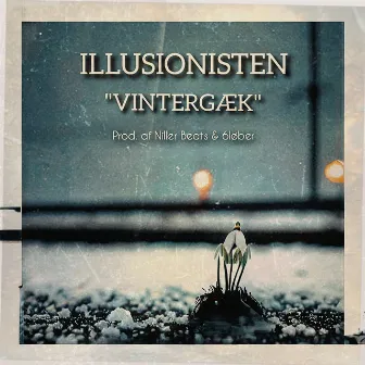 Vintergæk by Illusionisten