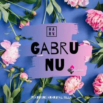 Gabru Nu by DJ Harv