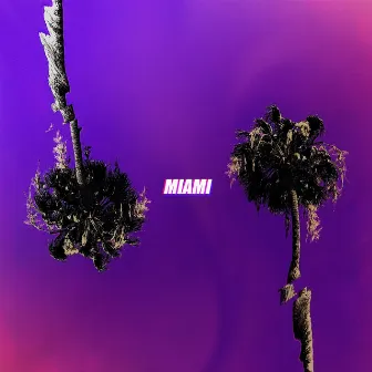 Miami by Erik Frank