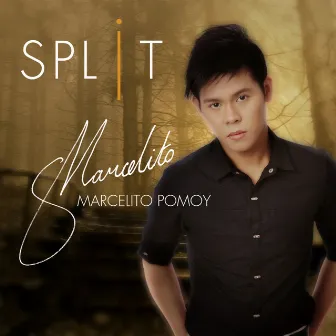 Split by Marcelito Pomoy