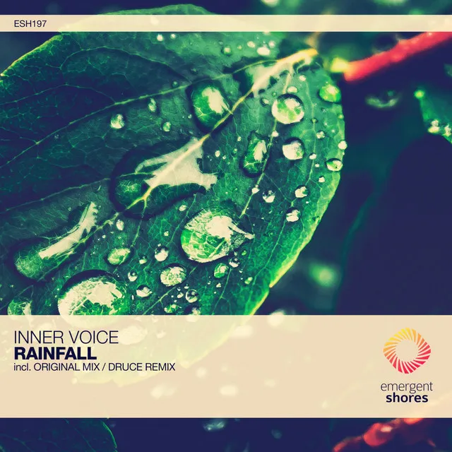 Rainfall - Druce Remix