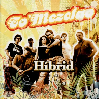 Hibrid by To'Mezclao