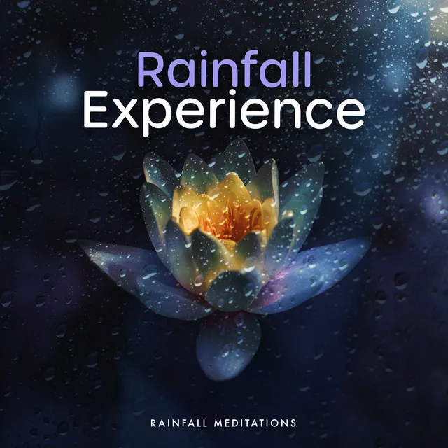 Rainfall Experience