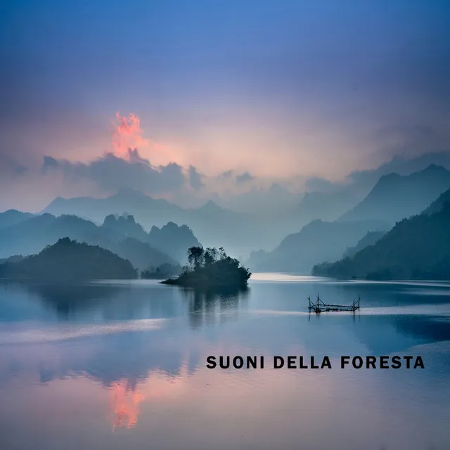 Suoni della Foresta per Dormire Profondamente, Pt. 42