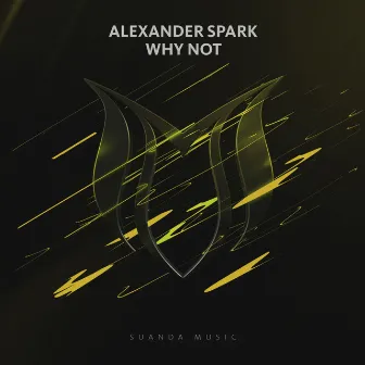 Why Not by Alexander Spark