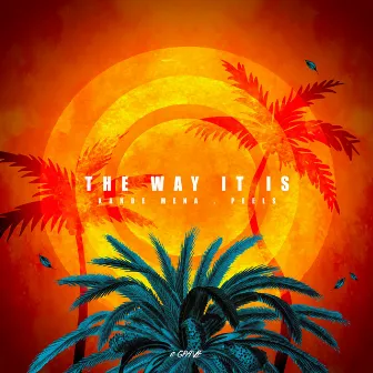 The Way It Is by Peels