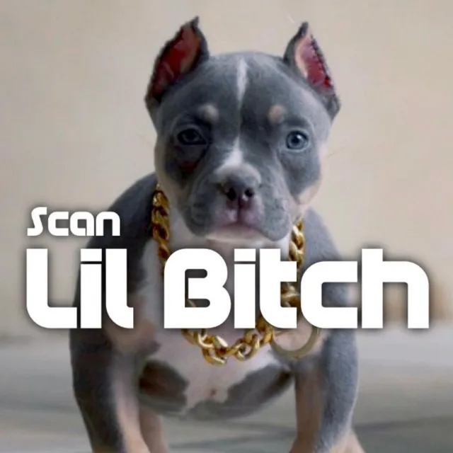 Lil Bitch