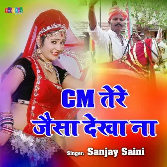 CM Tere Jesa Dekha Na by Sanjay Saini