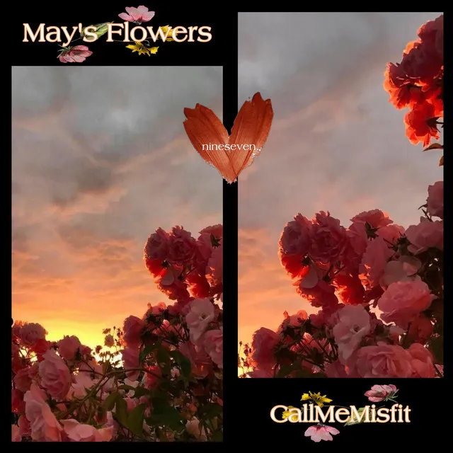 May's Flowers