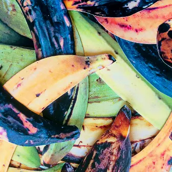 Plantains by Dela