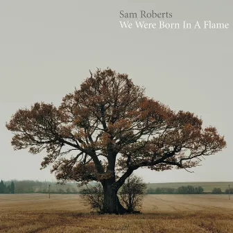 We Were Born In A Flame (Deluxe) by Sam Roberts Band