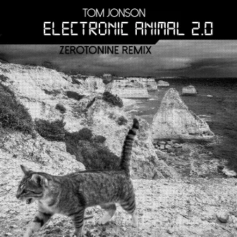 Electronic Animal 2.0 (Zerotonine Remix) by Tom Jonson