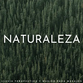 Naturaleza: Lluvia Terapéutica Y Música Para Masajes by 