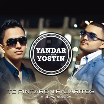 Te Pintaron Pajaritos (Radio Edit) [feat. Andy Rivera] by Yandar & Yostin