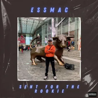 Sent For The Rookie by Essmac