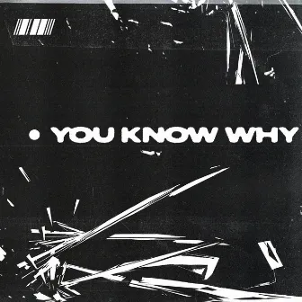 You Know Why by Joel Cruz