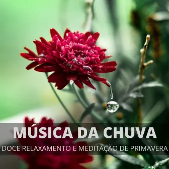 Música Da Chuva: Doce Relaxamento E Meditação De Primavera by Meditação Experiência Musical