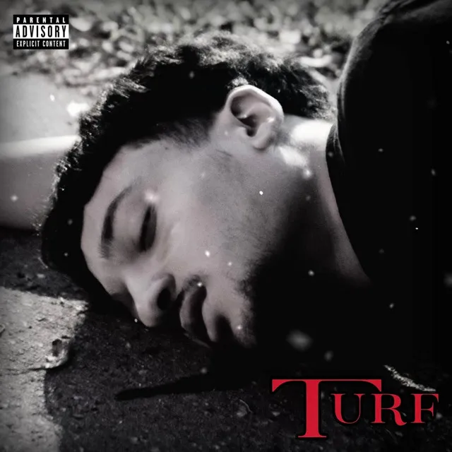 Turf