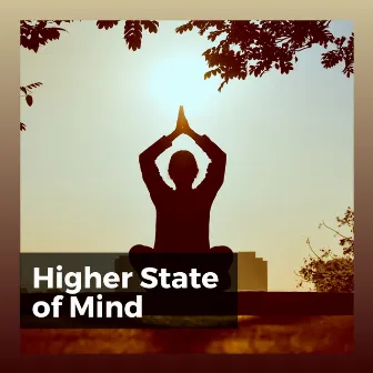 Higher State of Mind by Deep Sleep Music for Insomnia