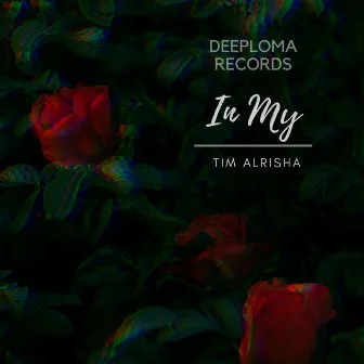 In My (Original Mix) by Tim Alrisha