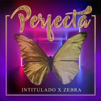 Perfecta by Intitulado