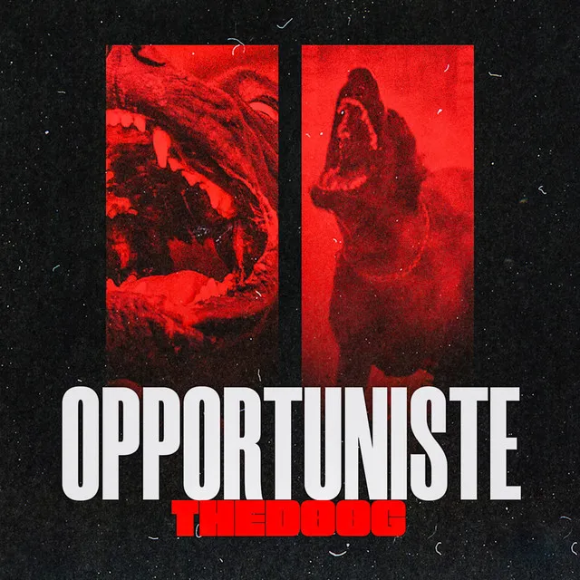 Opportuniste