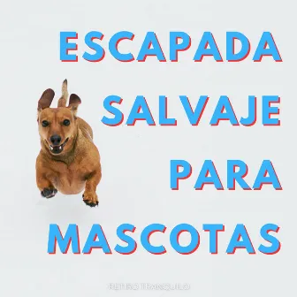 Escapada Salvaje Para Mascotas: Retiro Tranquilo by Sentido suave