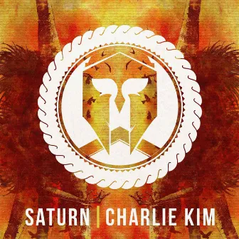 Play With Fire (feat. Charlie Kim) - Single by Saturn