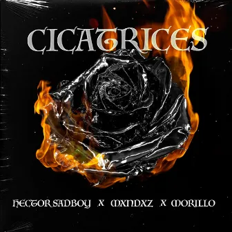 Cicatrices by Morillo