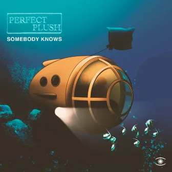 Somebody Knows by Perfect Plush