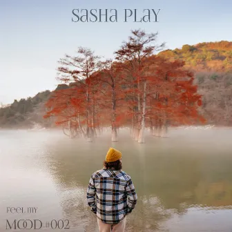 Mood#002 (DJ Mix) by Sasha Play