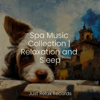 Spa Music Collection | Relaxation and Sleep by Música ambiental relajante