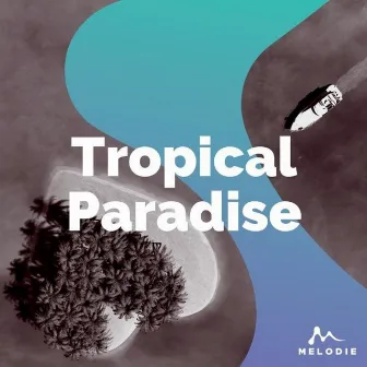 Tropical Paradise by David Godfrey