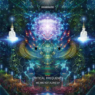 We Are Not Alone Ep by Critical Frequency (Live)