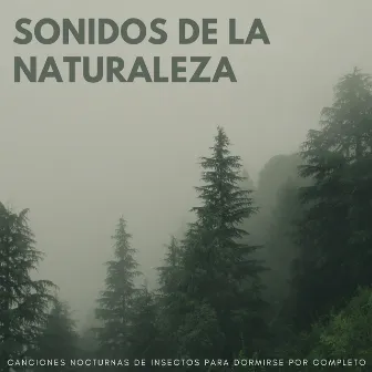 Sonidos De La Naturaleza: Canciones Nocturnas De Insectos Para Dormirse Por Completo by Grillos del sueño