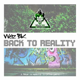 Back to Reality by Wez BK