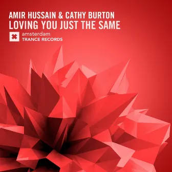 Loving You Just The Same by Amir Hussain