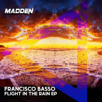 Flight in the Rain by Francisco Basso