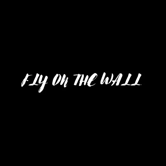 FLY ON THE WALL