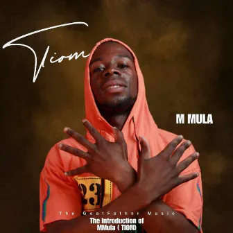 The Introduction of M Mulla by M Mulla